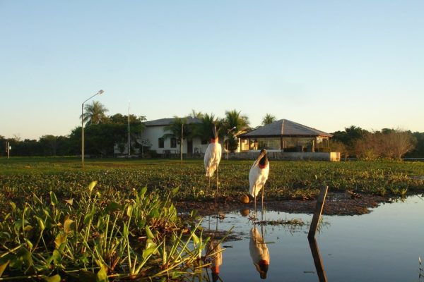 Foto: Divulgação/SGB