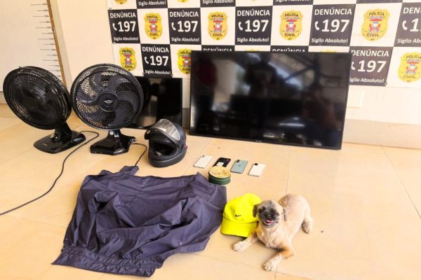 4ffcc337-3b2f-4d43-a041-13b6a71b3edf