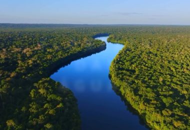 Captura de tela 2026-04-14 085007