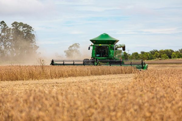 Nesta safra, a estimativa é de que Mato Grosso colha 50,89 milhões de toneladas de soja - Foto por: Marcos Vergueiro/Secom-MT