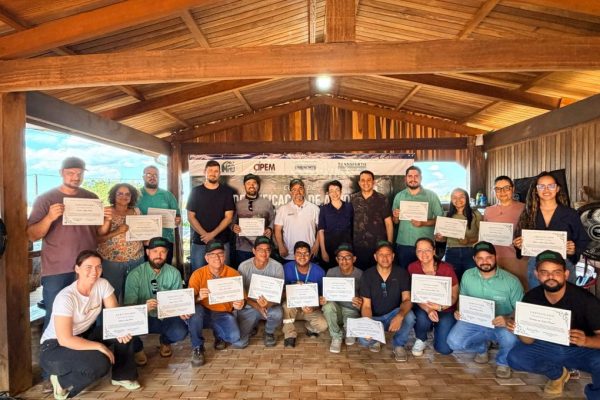 Curso Nova Monte Verde