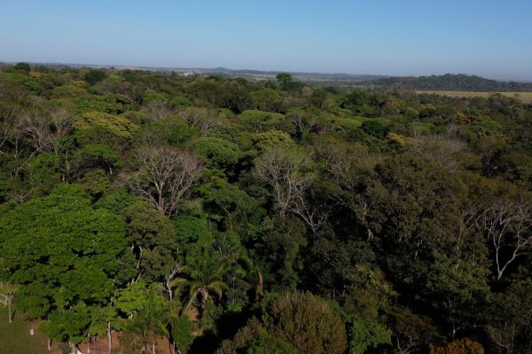 DJI_0494.00_00_02_09.Quadro003.jpg