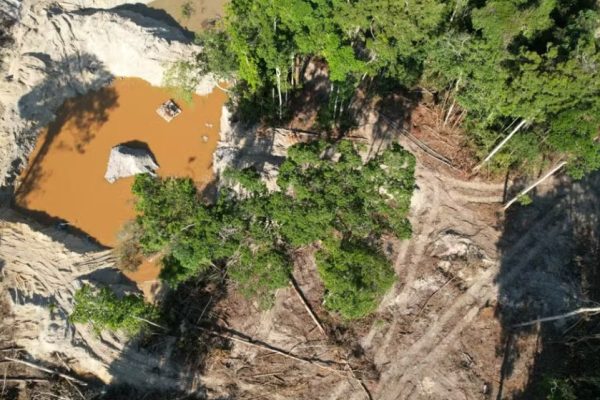 Fiscalização teve como foco áreas com suspeitas de desmatamento, exploração e garimpo ilegais em MT — Foto: Polícia Militar