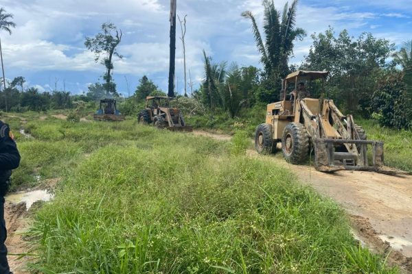 WhatsApp Image 2026-04-09 at 10.35.27