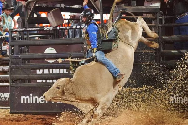 Abertura da montaria em touros da Professional Bull Riders (PBR) na Festa do Peão de Barretos 2026 nesta quinta-feira (20) — Foto: Érico Andrade/g1