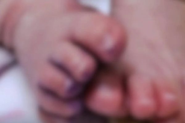 bebe_24dias