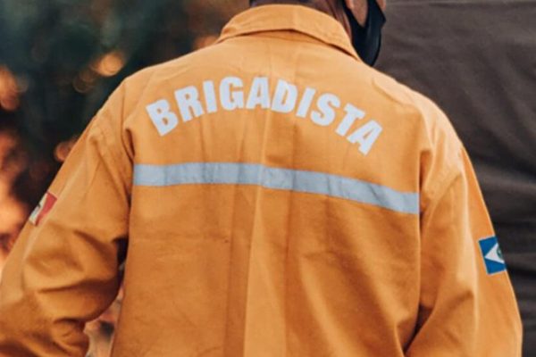 brigadista_mt