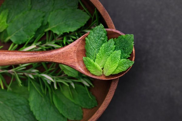 o-que-e-patchouli-53cb63b8