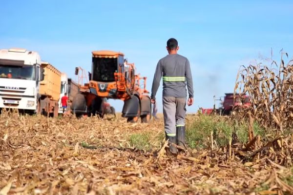 Mato Grosso é o único estado do Brasil onde homens solteiros são maioria, aponta IBGE — Foto: Reprodução/TV Globo